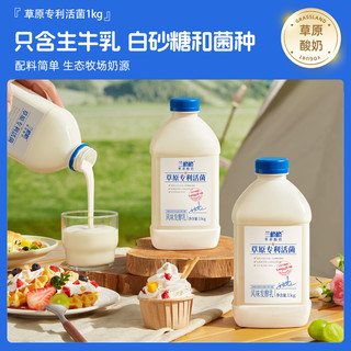  兰格格 草原专利活菌 酸奶  草原专利活菌1kg*4 1000.00g 1kg*4