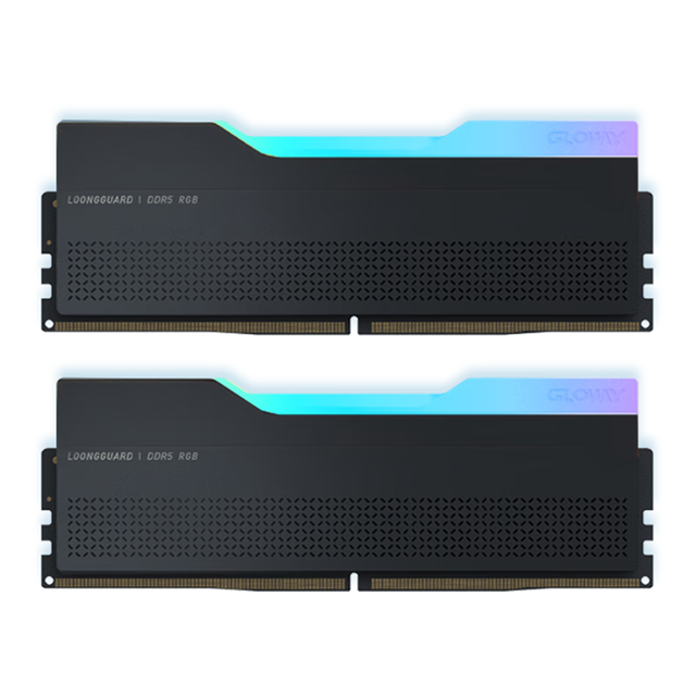 光威（Gloway）96GB(48GBx2)套装DDR5 6400 台式机内存条龙武RGB系列海
