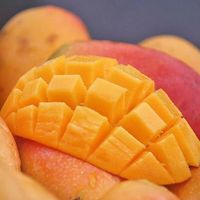 集南鲜 海南贵妃芒 薄核纸核芒果红金龙树上现摘当季甜心芒新鲜水果 净重9斤特选大果王 200克起