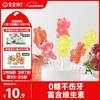 宝宝馋了 无糖棒棒糖混合口味32gmini卡通儿童零食送婴儿宝宝辅食谱 无糖迷你棒棒糖（混合口味）