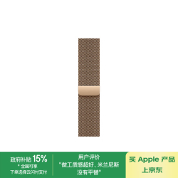苹果 Apple 42毫米金色米兰尼斯表带 原厂表带 适用于38/40/41/42毫米的Apple Watch