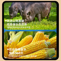 笆篱山安徽皖南黑猪肉带大里脊肉通脊肉净重2斤鲜切慢养365天 源头直发 黑猪里脊肉2斤