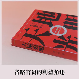 天地光明（一场市长民主会，映照出各色官员的内心世界！坚持人民立场，方为仕途正道） 小说
