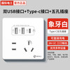 国际电工 fdd 86型20W快充USB插座开关面板墙壁手机充电Type-c家用五孔 五孔2.1A双USB type-c