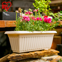 爱丽思长方形花盆加厚树脂阳台蔬菜种植盆浮雕窄式深型花盆６００浅米色