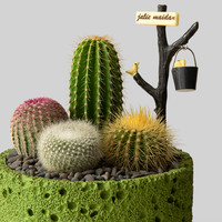 仙人掌盆栽组合多肉植物小仙人球办公室桌面绿植创意