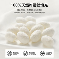 源生活 蚕丝被100%蚕丝夏凉被双人空调被夏季被芯薄被子 cm