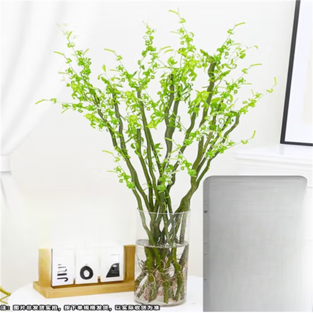 雅卉 龙柳鲜切枝富贵竹客厅水培绿植物花卉室内盆栽好养活干支雪柳 60厘米高无分叉10棵