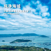 岳海 宁德照烧口味三去黄花鱼345g*2包 三去大黄鱼免杀免洗 源头直发 照烧口味345g*2包