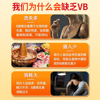  九芝堂 提高代谢 维生素B族复合片