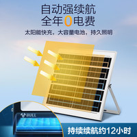 公牛(BULL)太阳能灯户外庭院灯钢化玻璃智能光控远程遥控MG-C200B-AE