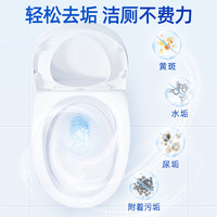 蓝月亮卫诺香氛洁厕液 洁厕灵 洁厕剂 厕所马桶清洁剂 除菌去污 【沁香花园】香氛洁厕液500g*2瓶