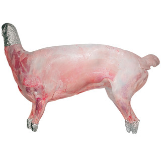 羊食光羊肉新鲜半只羊10斤羊后腿肉羔羊肋排冷冻火锅食材年货 全羊