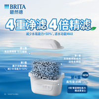 88VIP：碧然德 过滤净水器家用厨房滤水壶去水垢专家版PRO滤芯6枚