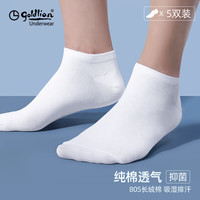 金利来(GOLDLION)金利来袜子男士船袜短袜运动纯棉休闲袜 白色*5