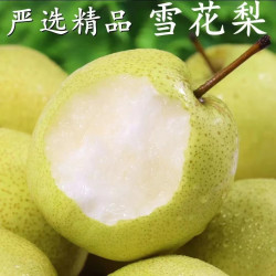 京喜加 赵县雪花梨 2斤 生鲜水果