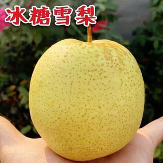 京喜加 赵县雪花梨 带箱2斤 生鲜水果