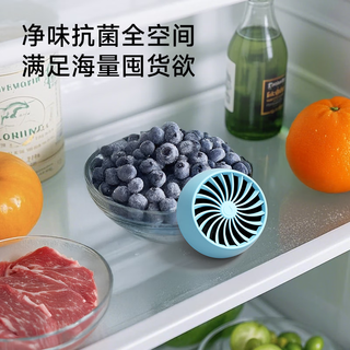EraClean冰箱除味盒冰箱除味剂除臭剂去异味食材抗菌保鲜防串味