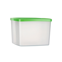 Tupperware特百惠美食套碗750ml密封储藏冰箱冷藏保鲜盒沙拉水果零食收纳盒 750ml（色）*2