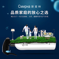 斯麦林异味清除剂家具除味装修除味清除新车异味新房急入住除异味喷剂 1瓶装（适用20平）