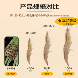 京东超市 厄瓜多尔白虾超大号（20/30规格） 30-45只/盒 净重3斤