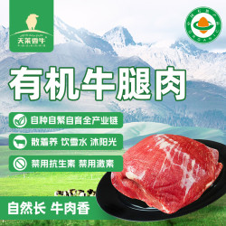 天莱香牛 有机排酸牛腿肉 500g