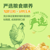 香满园 新鲜 富硒鸡蛋  包装 1.65kg 1.65kg