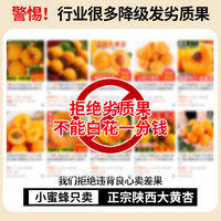 亨迅头茬陕西大黄杏子现摘酸甜凯特金太阳新鲜应季时令水果生鲜 实惠净重装