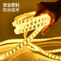 御美尚三色灯带三色可调遥控变色超亮室内吊顶户外防水防晒LED灯条 100米带遥控【暖+白+中性光】 152灯珠(一米灯带的灯珠)