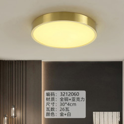 丹菲诺 2025新款全光谱客厅主灯吸顶灯现代简约卧室离线语音套餐中山灯具