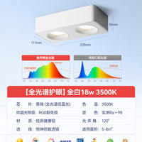 麦丹妮 madani 超薄明装双头筒灯现代极简客厅无主灯护眼防眩方形斗胆灯