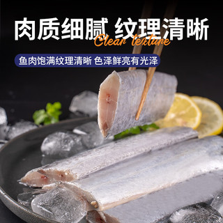 三都港 东海带鱼刀鱼中段冰鲜冷冻大带鱼 生鲜海鲜水产鱼类海鱼宁德特产 东海带鱼段2包共1.24斤