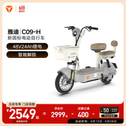 雅迪 C09 电动自行车