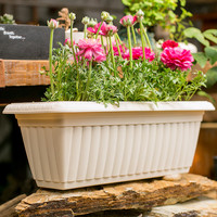 爱丽思爱丽思阳台蔬菜种菜盆室内长条花盆塑料种植浮雕长型花盆850浅米