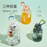 希乐大容量水杯成人吸管杯男士运动水壶大容量1.5L  灰DS-535 阴影灰1.5L