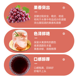 安琪（Angel）酵母高活性干酵母15克家用面包蛋糕烘焙做馒头包子发面