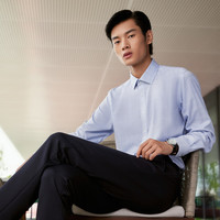 雅戈尔（YOUNGOR）长袖衬衫男免烫衬衫全棉格纹面料亲肤感强透气舒适8色可选 VLDP129750HBA蓝格 39