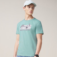 七匹狼短袖T恤 夏季男士圆领休闲印花上装男装 211(灰绿) 3XL 185/100A