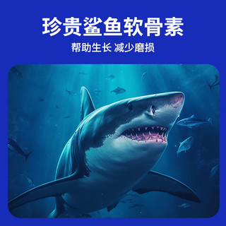派迪诺（PAIDINUO）宠物猫咪鲨鱼软骨素颗粒氨糖补钙猫用软骨素幼猫老年猫关节损伤