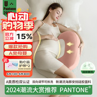 多米贝贝 Tomibaby）枕头护腰侧睡枕托腹海豚抱枕U型枕海豚护腰枕-PATONE