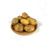 绿食者 迷你小土豆500g 新鲜蔬菜 农家黄心土豆 马铃薯 小洋山芋