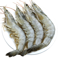  北海湾 精选青岛大虾 冷冻白虾  15-17cm 包装 3000g
