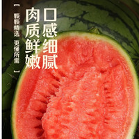 鲜馥【贼甜】冰糖籽西瓜 小糖丸西瓜薄皮2k西瓜山东产地现摘现发5斤装 4.5-5斤装