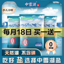 中雪 买一送一，共4袋中雪湖未加碘日晒盐260g*10天然湖盐无抗结剂家用商用 260g*2袋