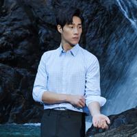 【纯棉+DP免烫】雅戈尔春款手感爽滑舒适透气男士长袖衬衫衬衣