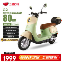 五星钻豹 G2 电动摩托车 ZB1200DT-37 星空牛果绿