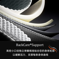 席梦思（Simmons）席梦思独立袋弹簧床垫 抗菌偏硬护脊1.5x2米双人床垫 瑞祉