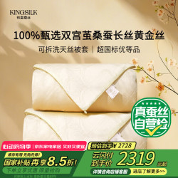 钱皇 黄金丝贵族蚕丝被  100%桑蚕长丝 子母被 1+3斤 220*240cm 黄色 子母被 桑蚕长丝净重1+3斤 1.8米/2.0米床（被子220*240）
