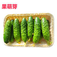 京地达山东旱黄瓜 净重3斤 单果150g+ 大刺水果黄瓜蔬菜源头直发 旱黄瓜 3斤 京东快递