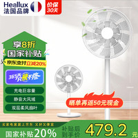 海路世 Heallux 法国品牌电风扇家用立式香薰雾冷大风量静音水冷空气循环扇遥控定时直流落地扇